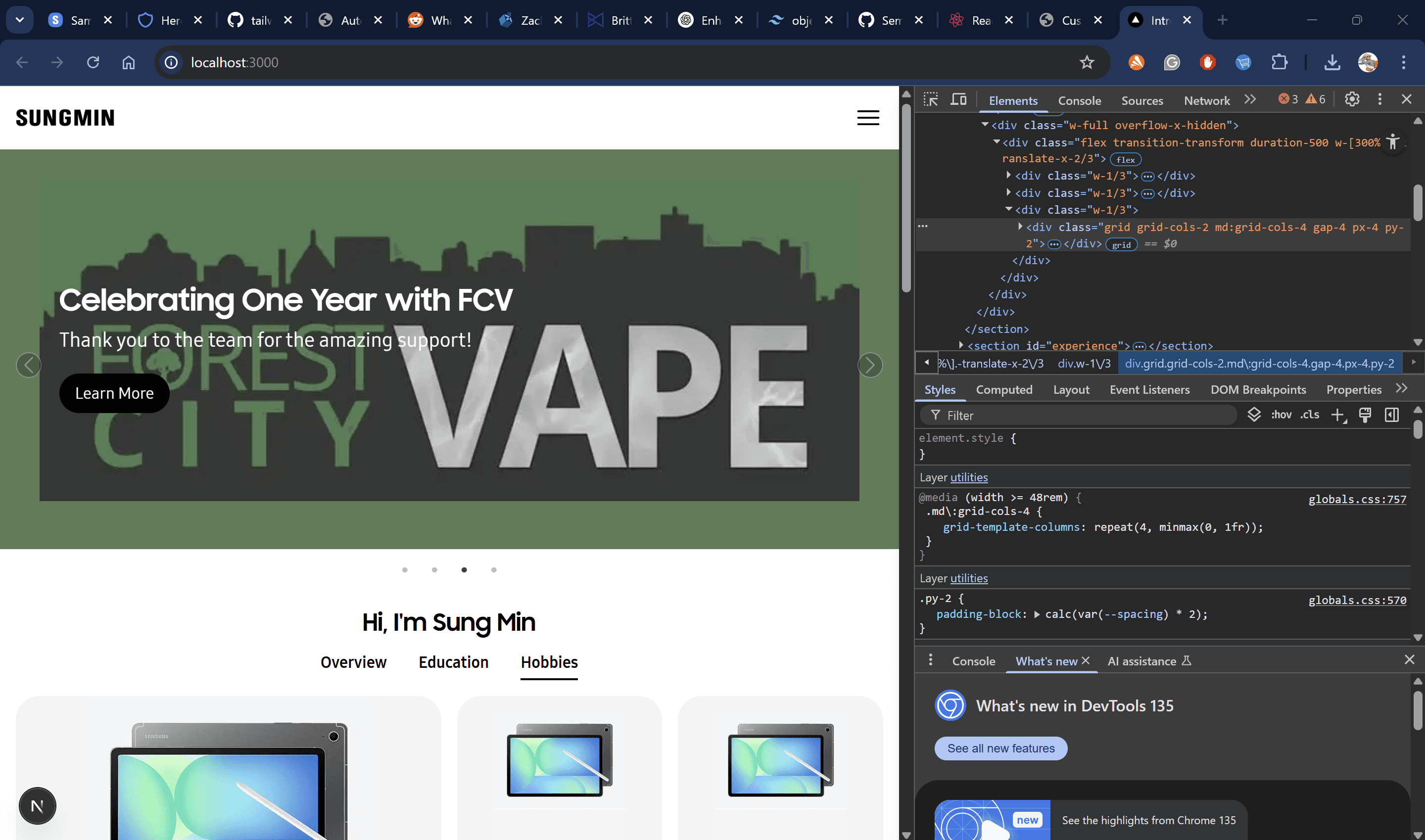 Screenshot of portfolio site in progress
